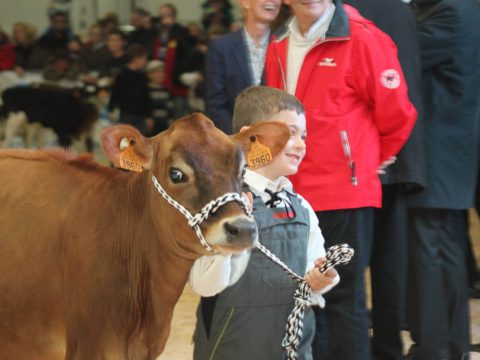 Foire Simon et Jude