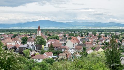 Vue-Habsheim-collines