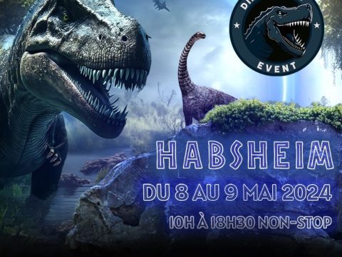 exposition-dinosaures-8-9-mai-2024-habsheim