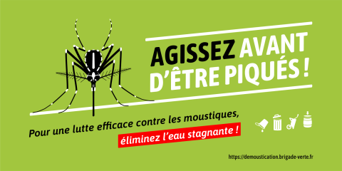 moustique-tigre-agissez-avant-etre-piqué