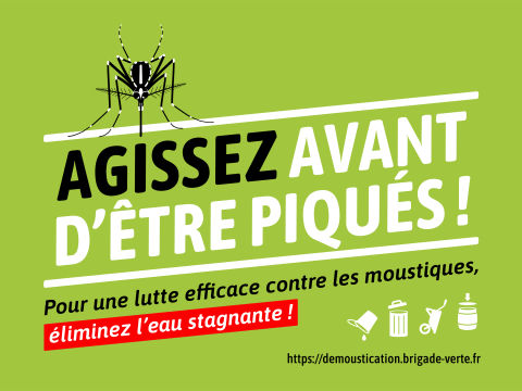 agissez-avant-etre-piqué-brigade-verte-moustique-tigre