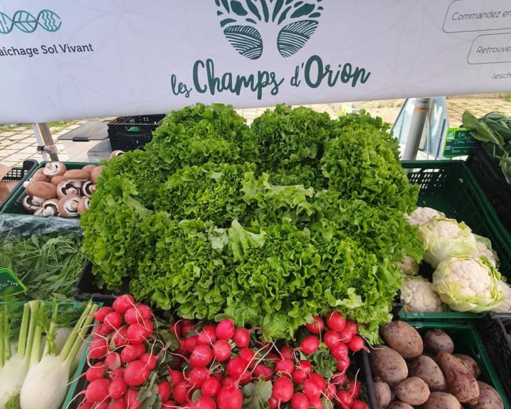 les-champs-d'orion-habsheim